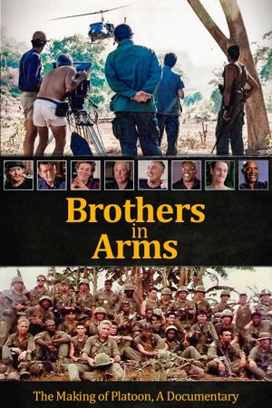 Platoon: Brothers in Arms's poster