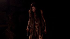 The Woman's poster