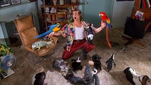 Ace Ventura: Pet Detective's poster