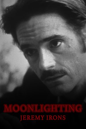 Moonlighting's poster
