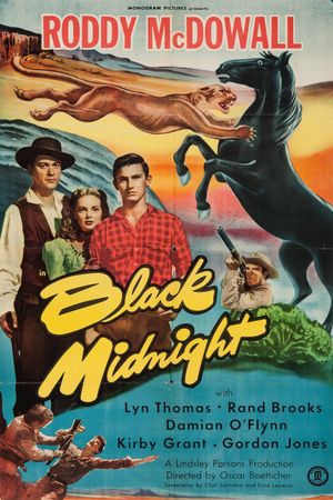 Black Midnight's poster