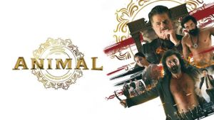 Animal's poster