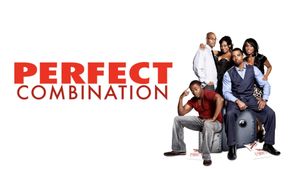 Perfect Combination's poster