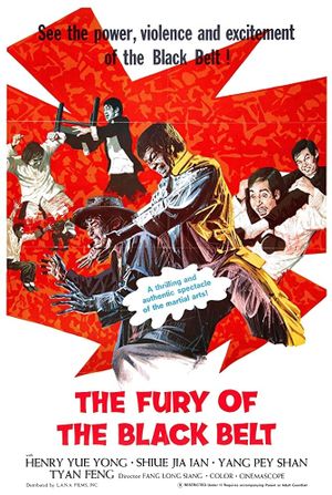 The Fury of the Black Belt's poster