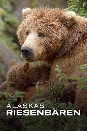 Alaska's Giant Bears's poster
