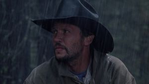 City Slickers's poster