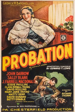 Probation's poster