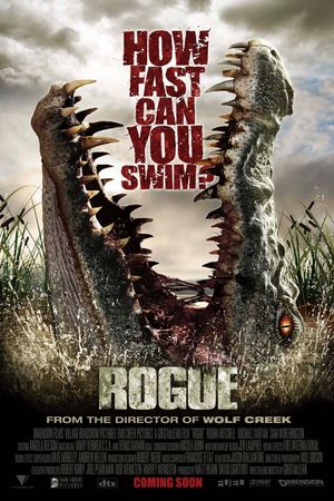 Rogue's poster