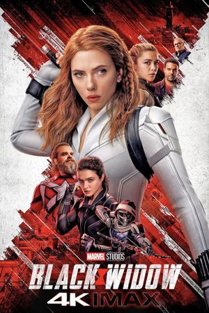 Black Widow's poster
