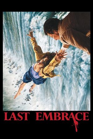 Last Embrace's poster
