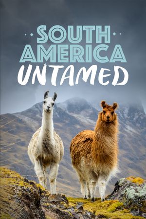 South America Untamed's poster