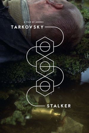 Stalker's poster