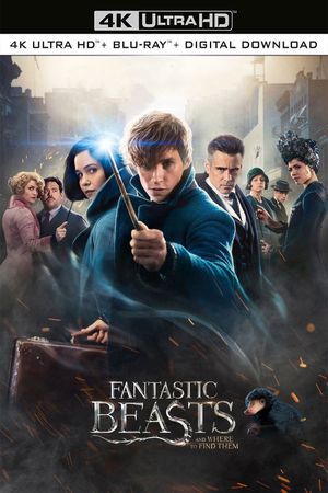 Fantastic Beasts and Where to Find Them's poster
