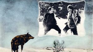 The Man from Hell's River's poster