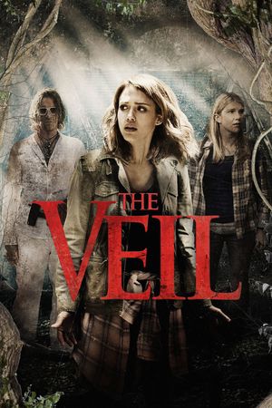 The Veil's poster