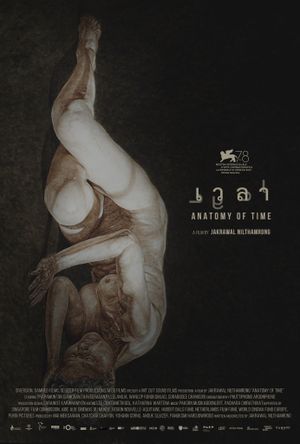 Anatomy of Time's poster