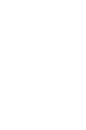 Lie with Me's poster