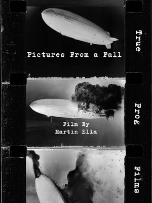 Pictures From a Fall's poster