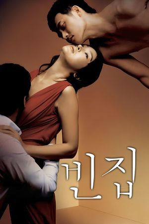 3-Iron's poster