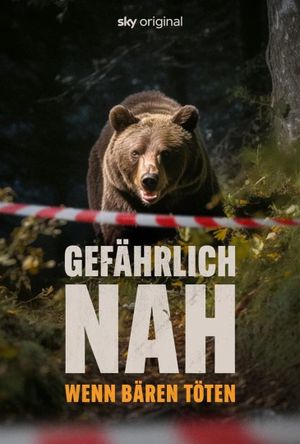 Troubled Bears's poster