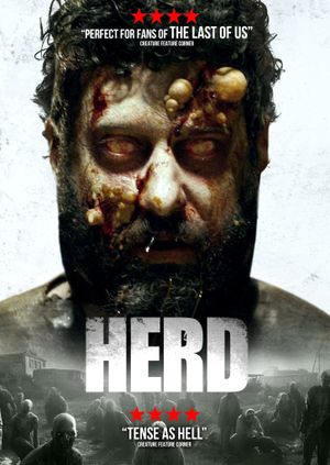 Herd's poster