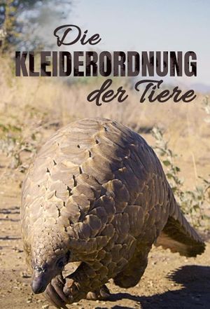 Die Kleiderordnung der Tiere - Wer trägt was und warum's poster image