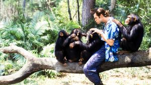 Ace Ventura: When Nature Calls's poster