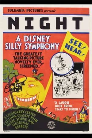 Night's poster