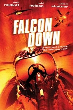 Falcon Down's poster