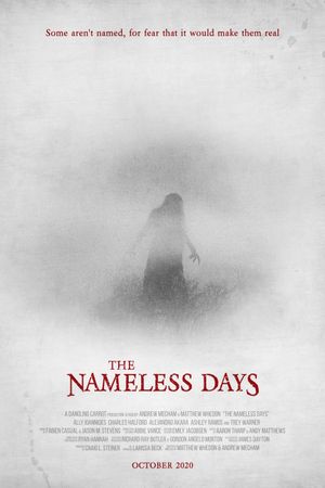 The Nameless Days's poster image