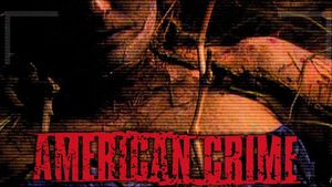 American Crime's poster