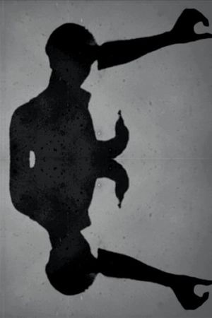 투명한 움직임's poster