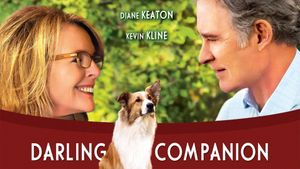 Darling Companion's poster