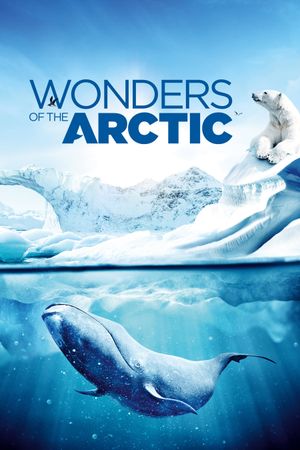 Wonders of the Arctic's poster