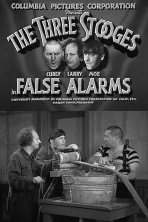 False Alarms's poster