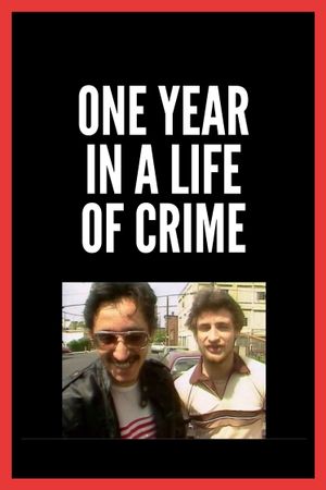 One Year in a Life of Crime's poster image