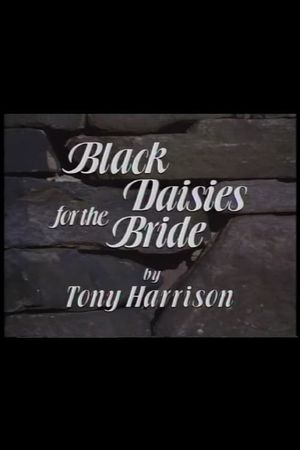 Black Daisies For The Bride's poster