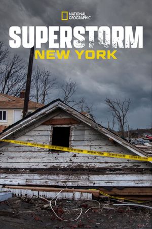 Superstorm New York: What Really Happened's poster