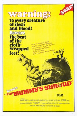 The Mummy's Shroud's poster