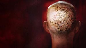 Afflicted's poster