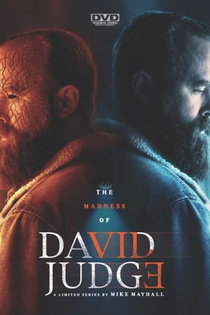 The Madness of David Judge's poster