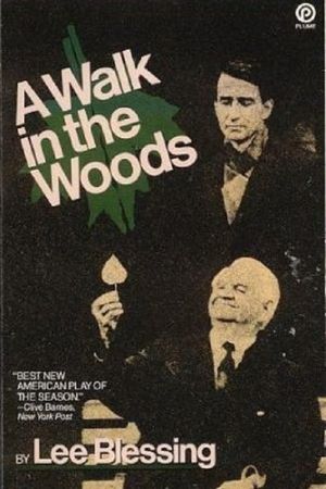 A Walk in the Woods's poster image