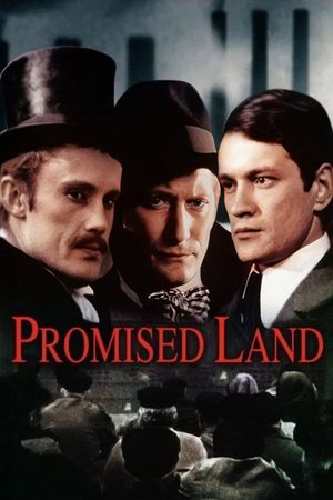 The Promised Land's poster