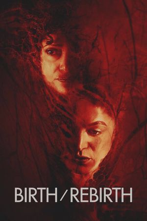 Birth/Rebirth's poster