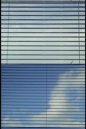 untitled (camera roll)'s poster