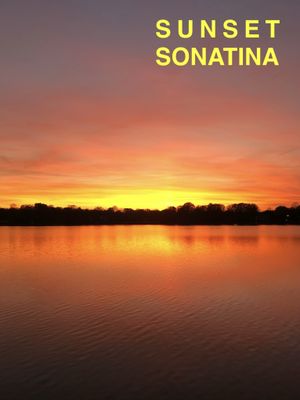 Sunset Sonatina's poster