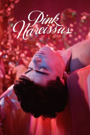 Pink Narcissus's poster