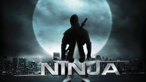 Ninja's poster