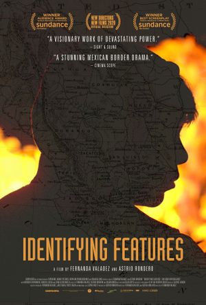 Identifying Features's poster