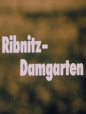 Ribnitz-Damgarten's poster